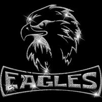 GLT94 SILVER GLITTER Thumbnail